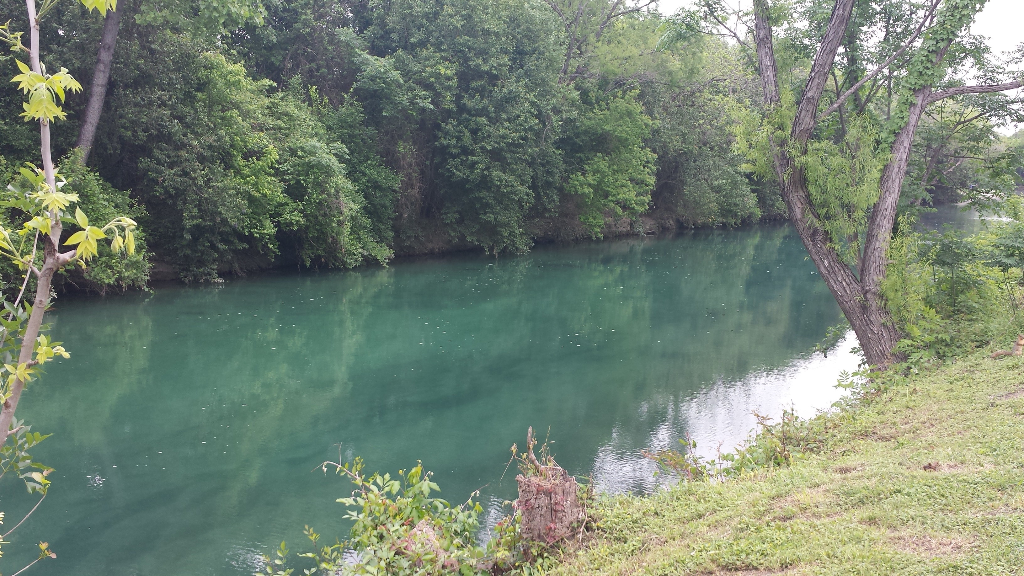 Sunday Morning Comal 07