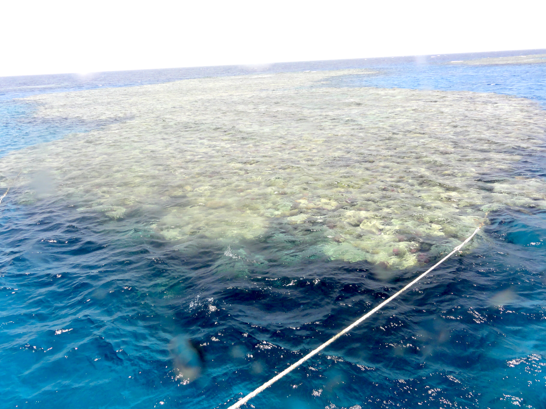 Surface view of a reef