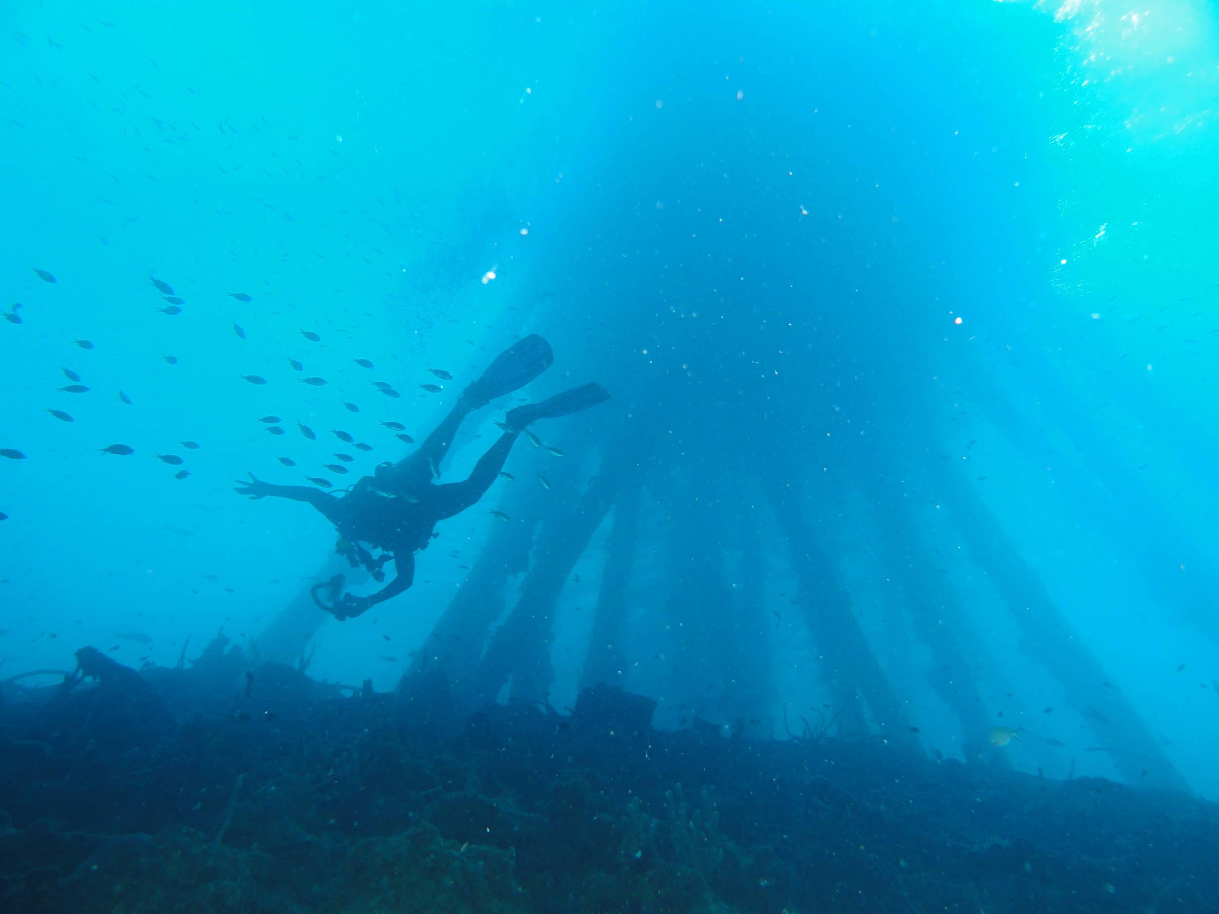 Sushi Bot at Salt Pier