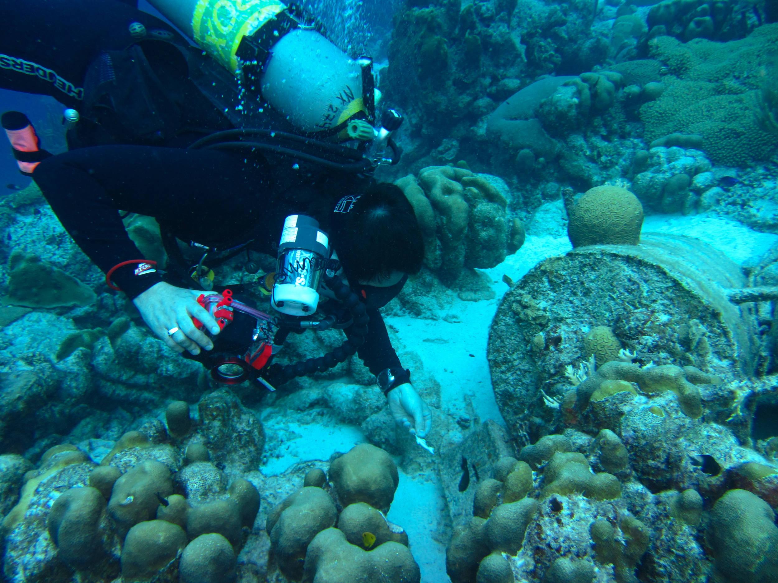 Sushi Boy finds a geo-cache