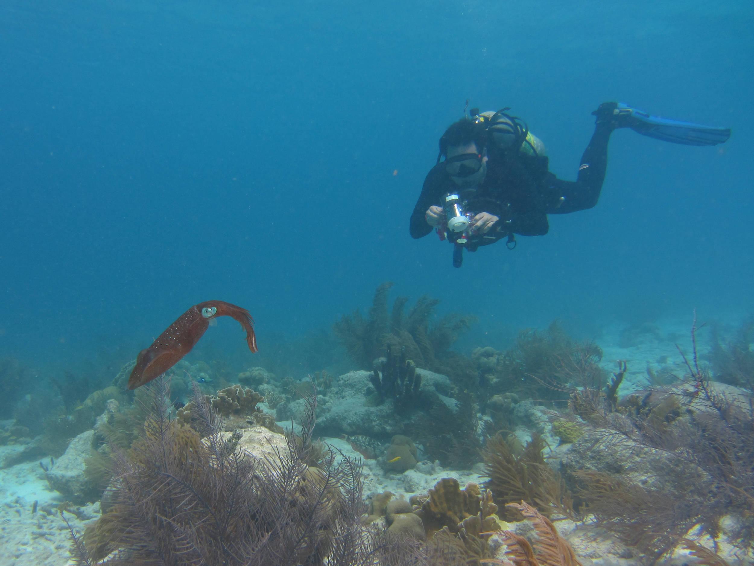 Sushi Boy looking for some Ika