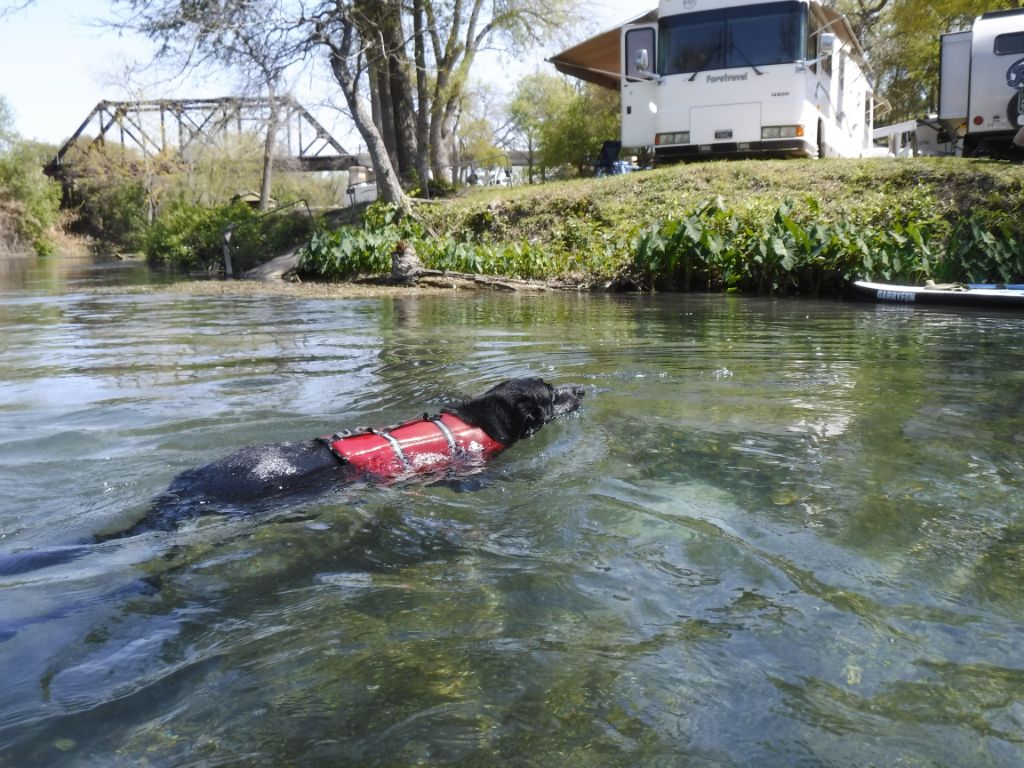 Swim, Ellie, Swim