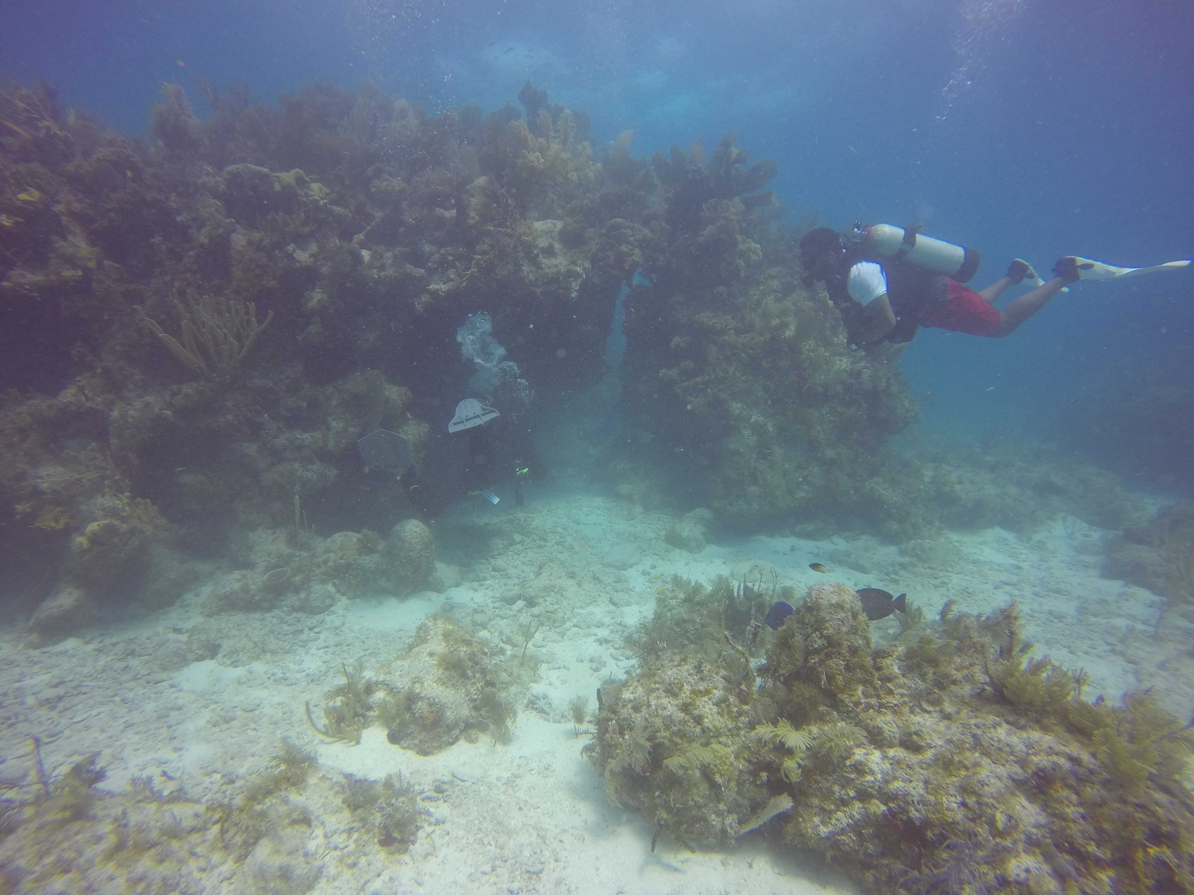 Swim Thru on Horseshoe Reef.JPG