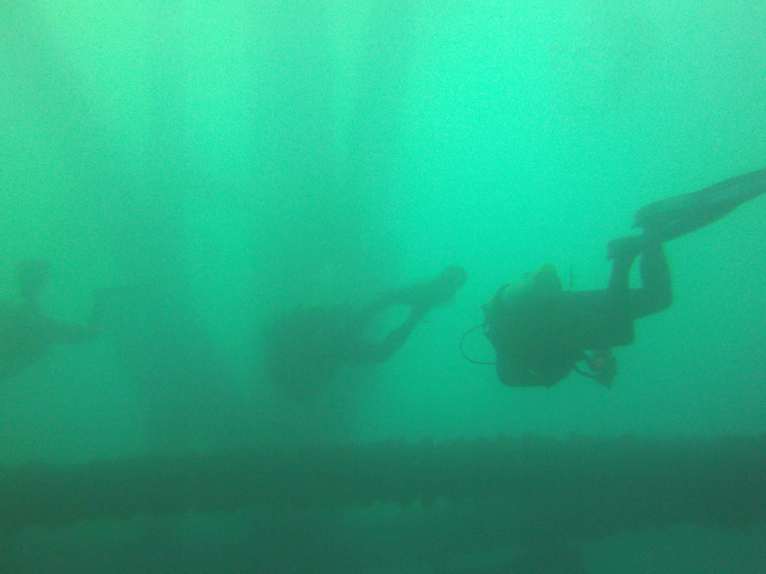 swimin' about