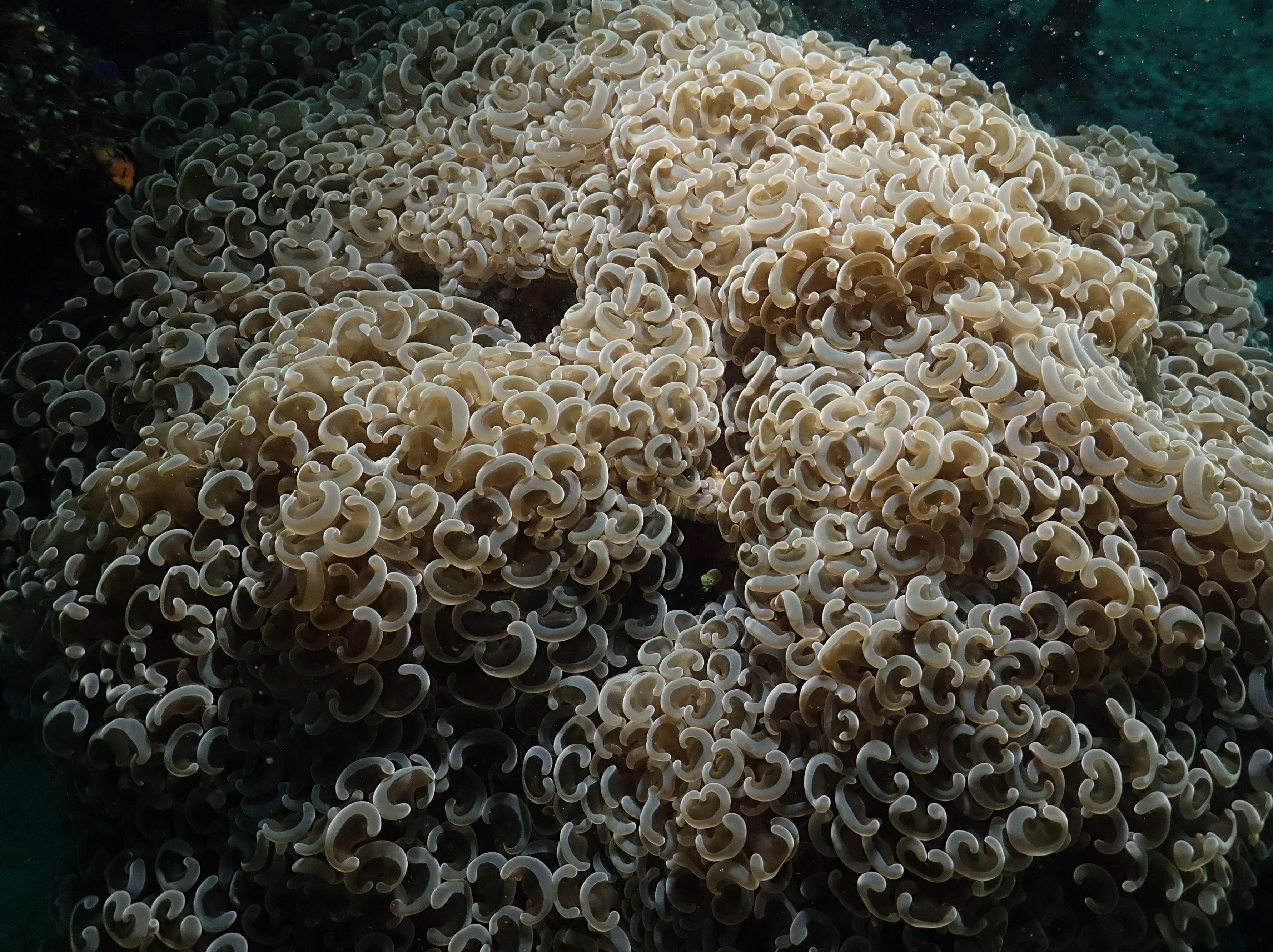 Texture