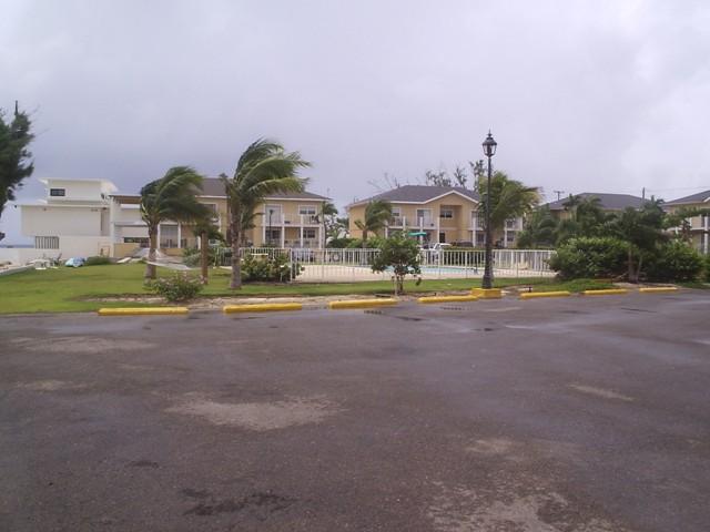 thank you to those who volunteered