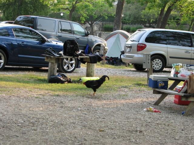 The 5am alarm invades the CHUM compound.