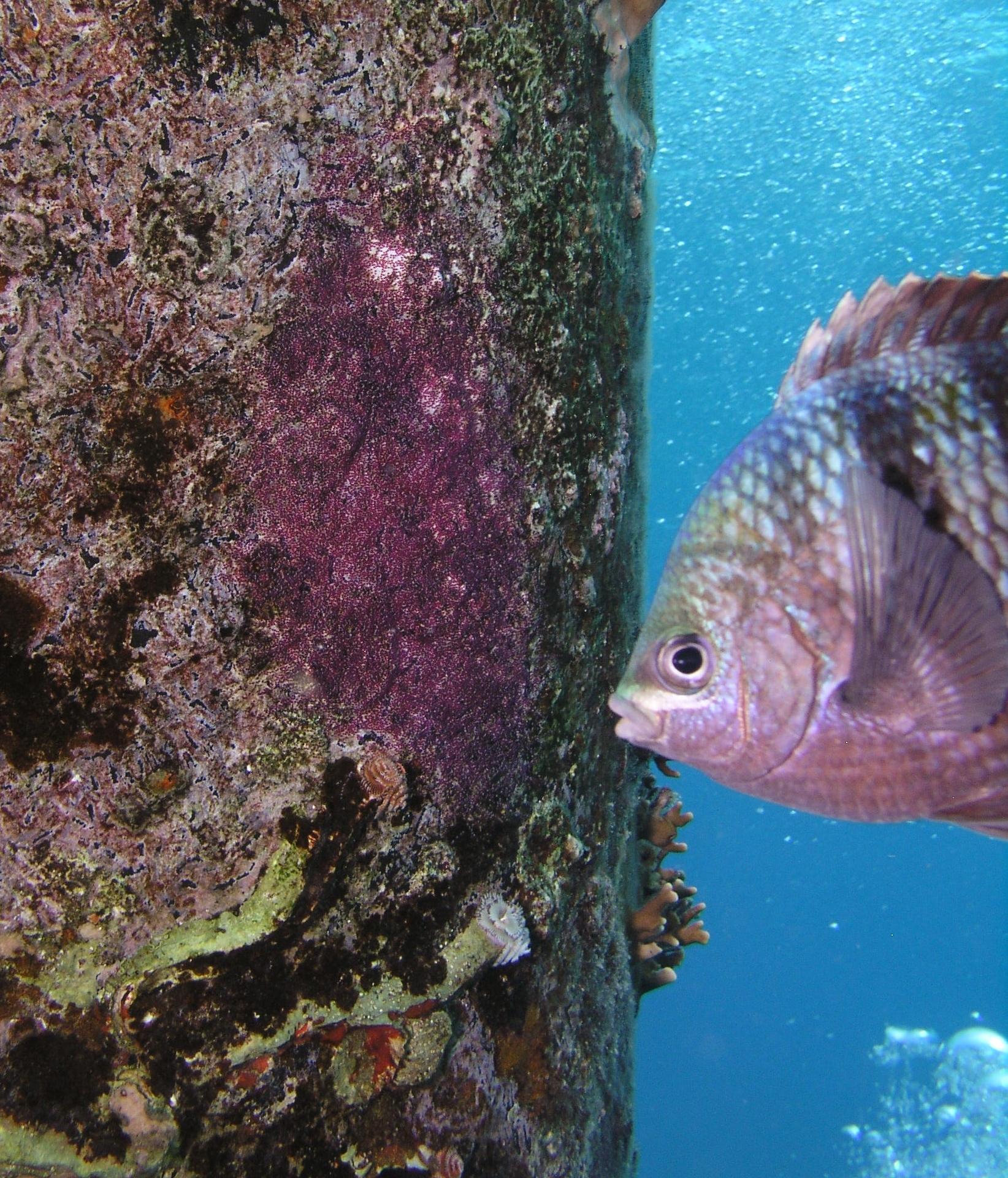 the artist with his work