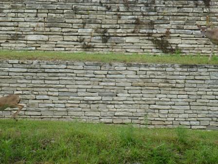 The ass of one and the head of another..wait, what?