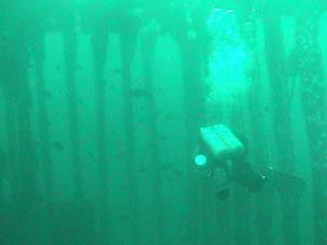 The Cathedral on the Ocean Venture