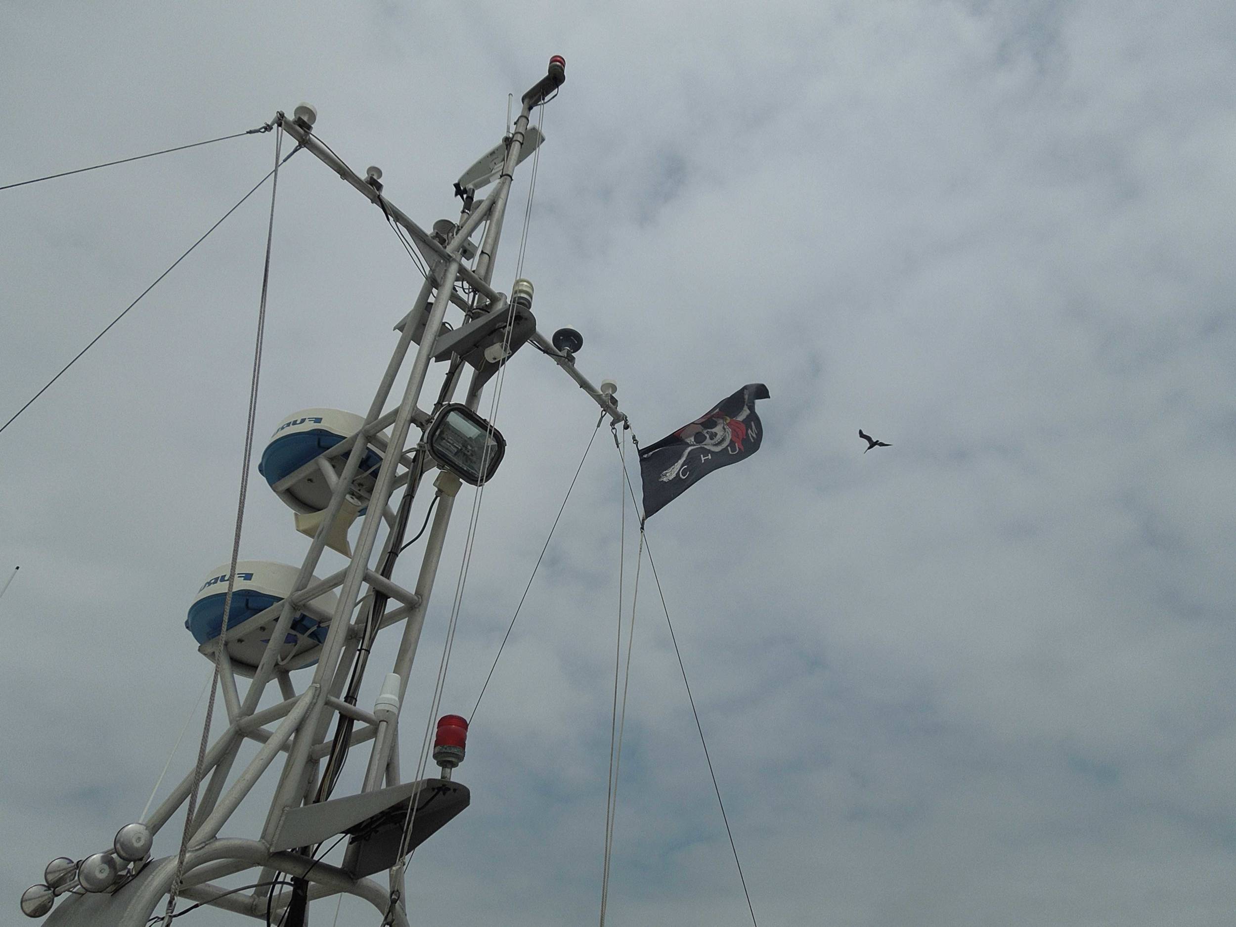 the colors fly over the R/V Manta