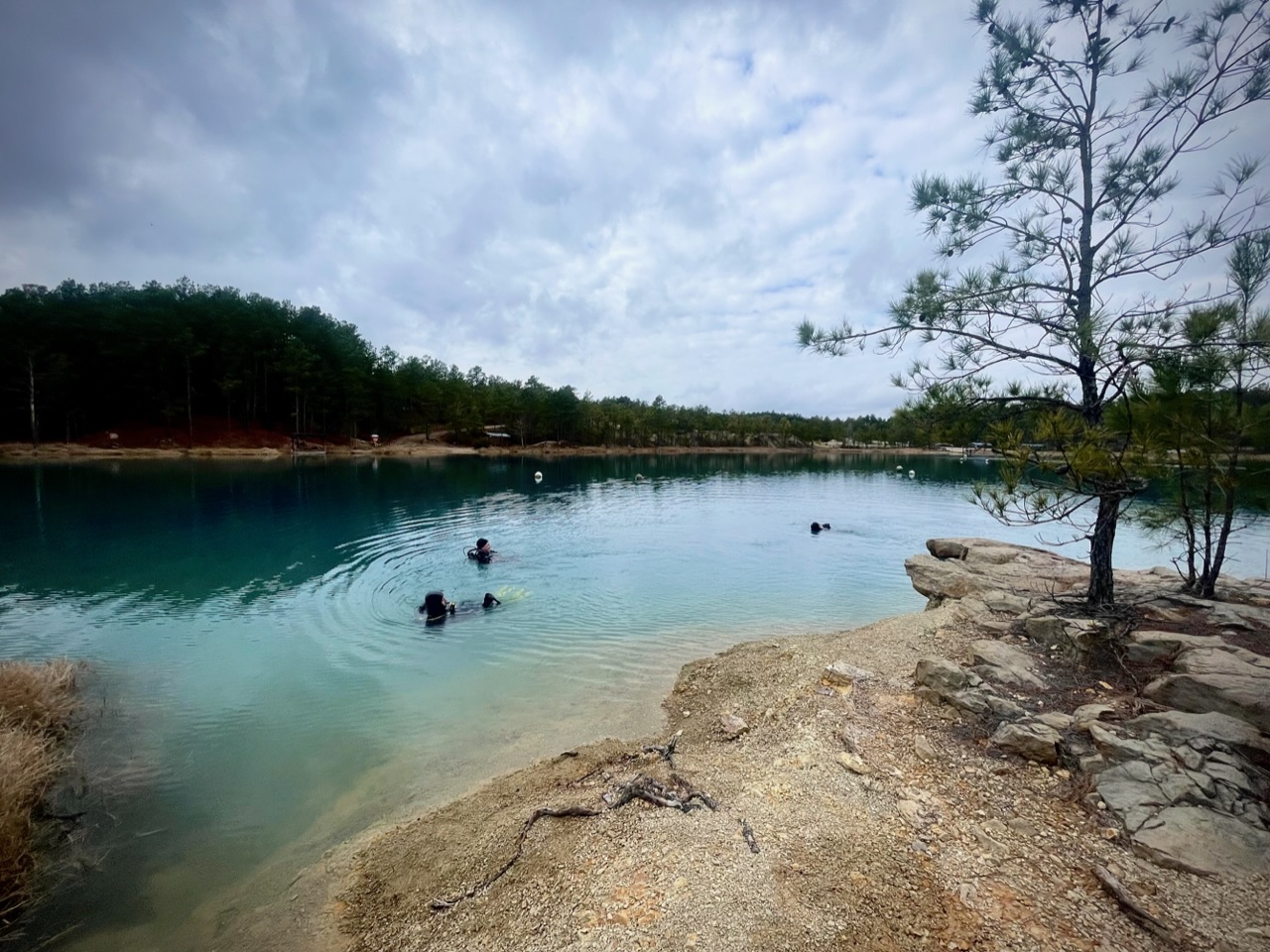 The hardy wet suit divers