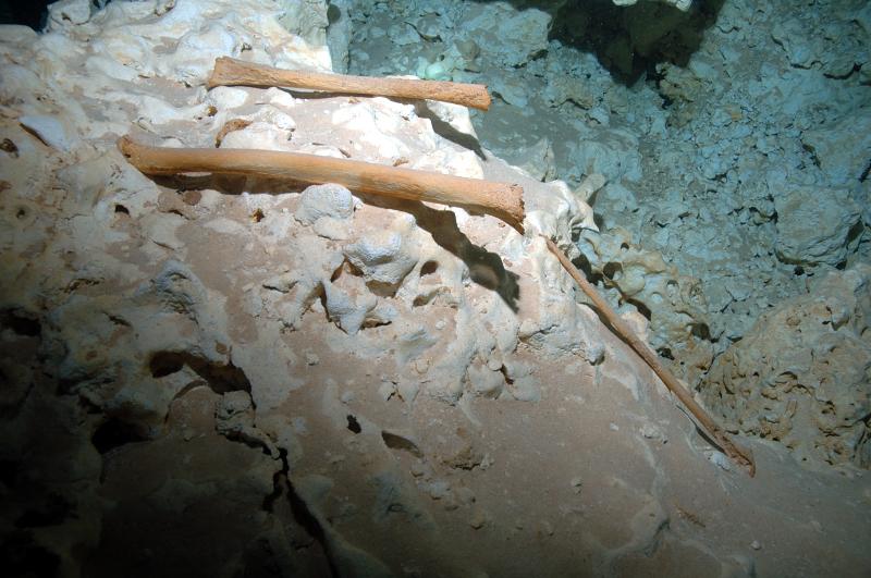 The Pit - Mayan Resting Place?
