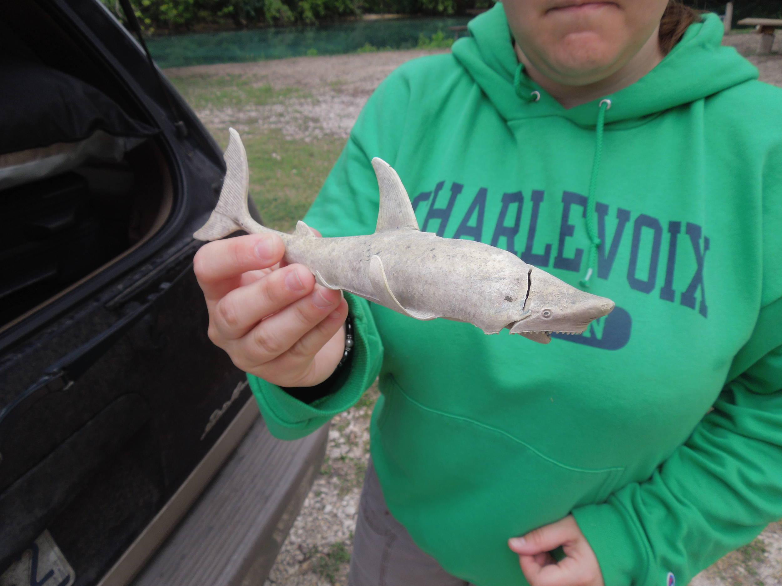 The rare Comal River Shark