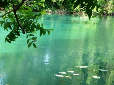 The river