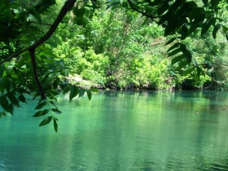 The river