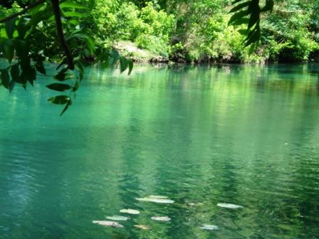 The river