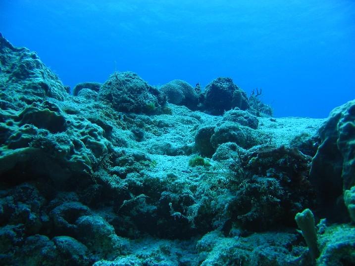 The slate of shame...