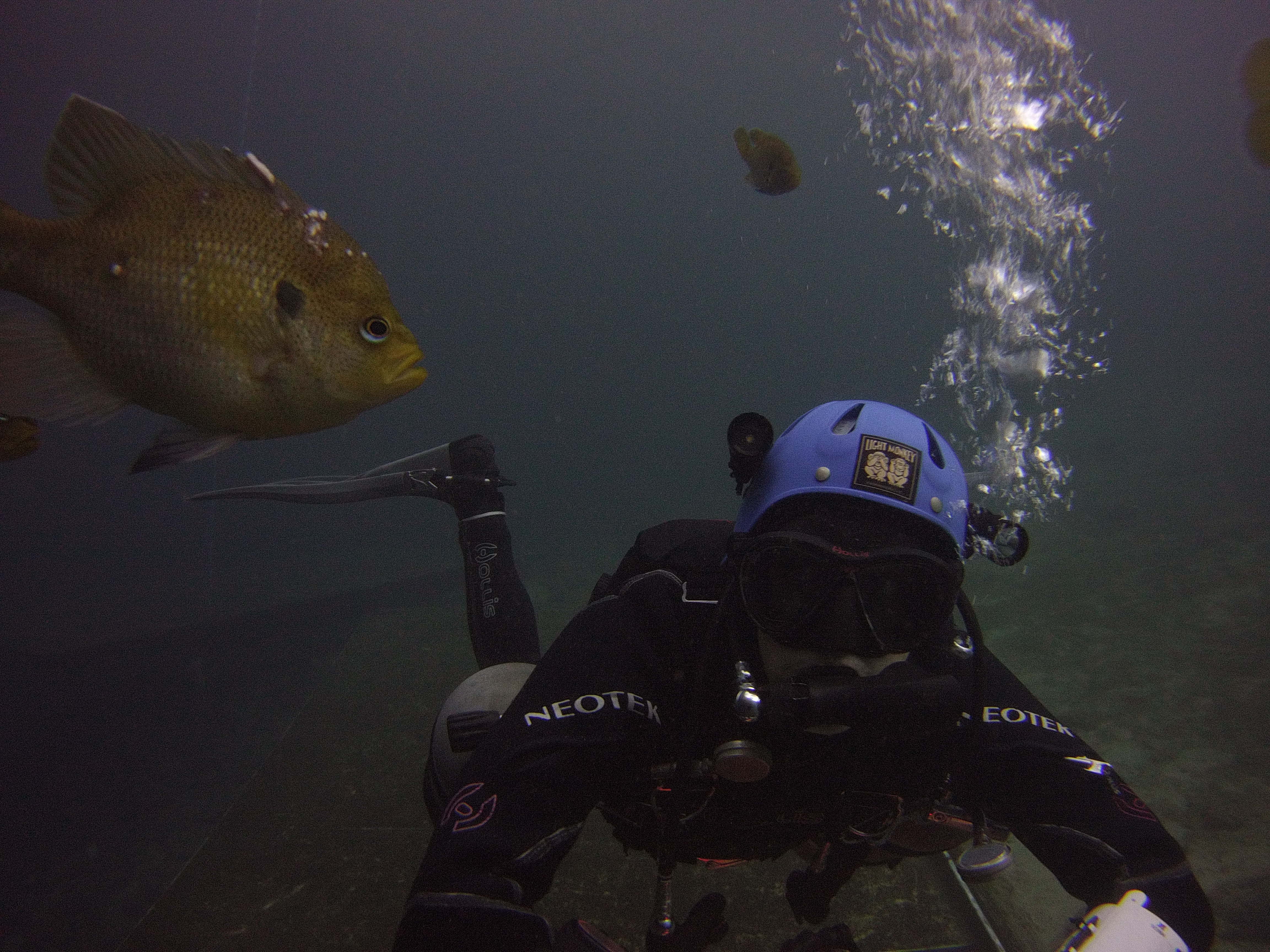 The standoff at Blue Grotto
