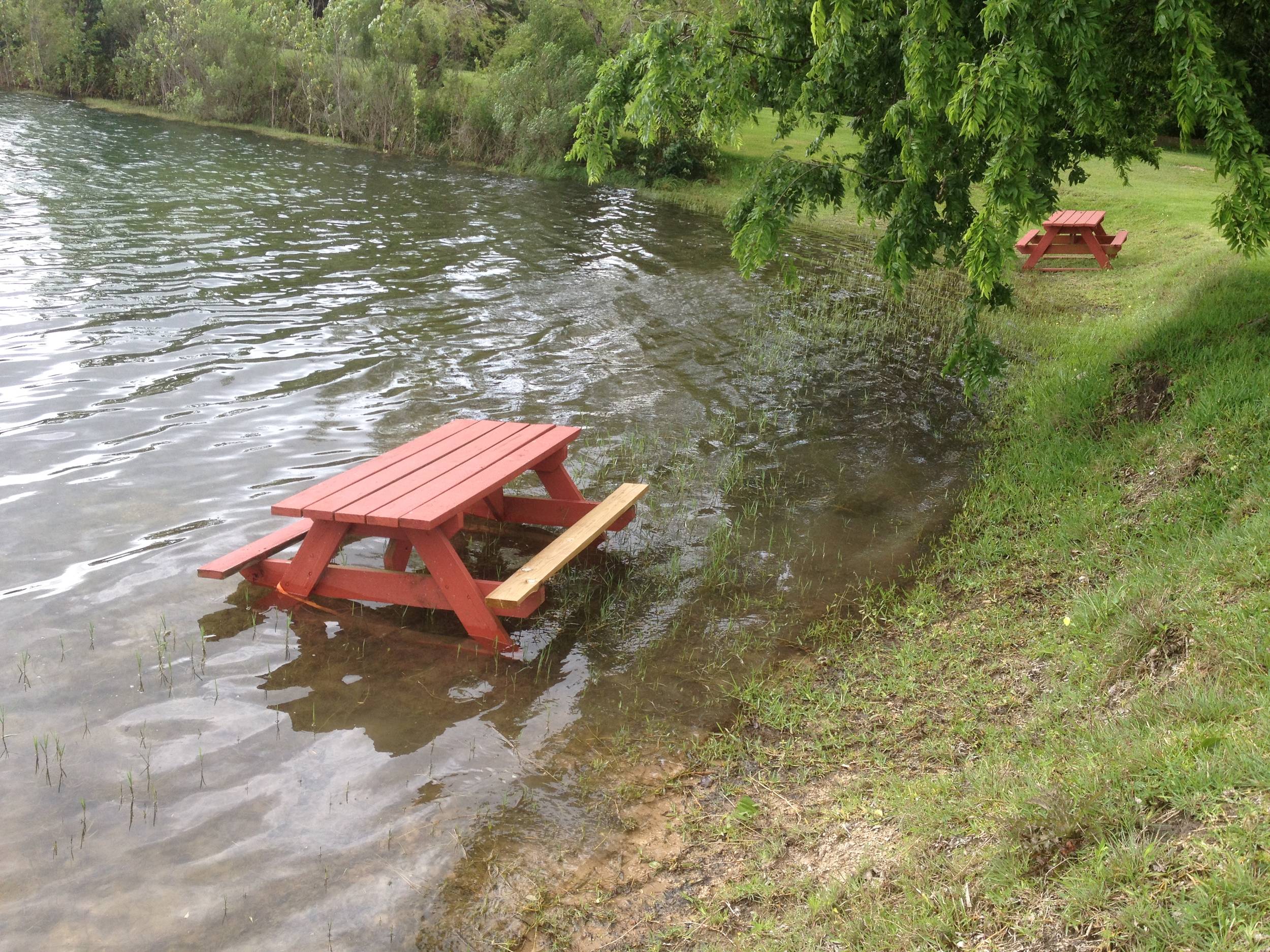 The water level is up a bit at 288 Lake