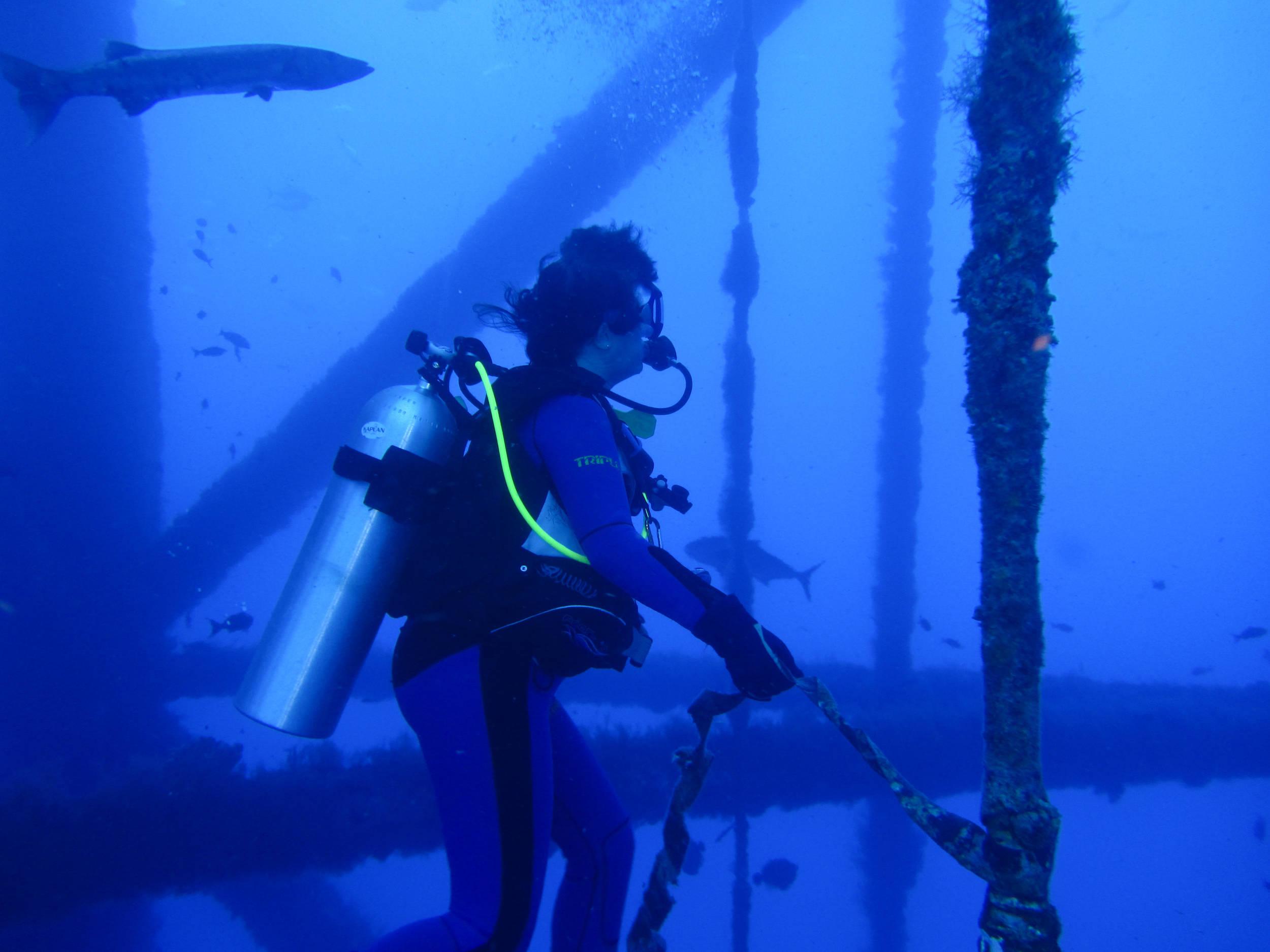 There has to be a better way to organize these fish