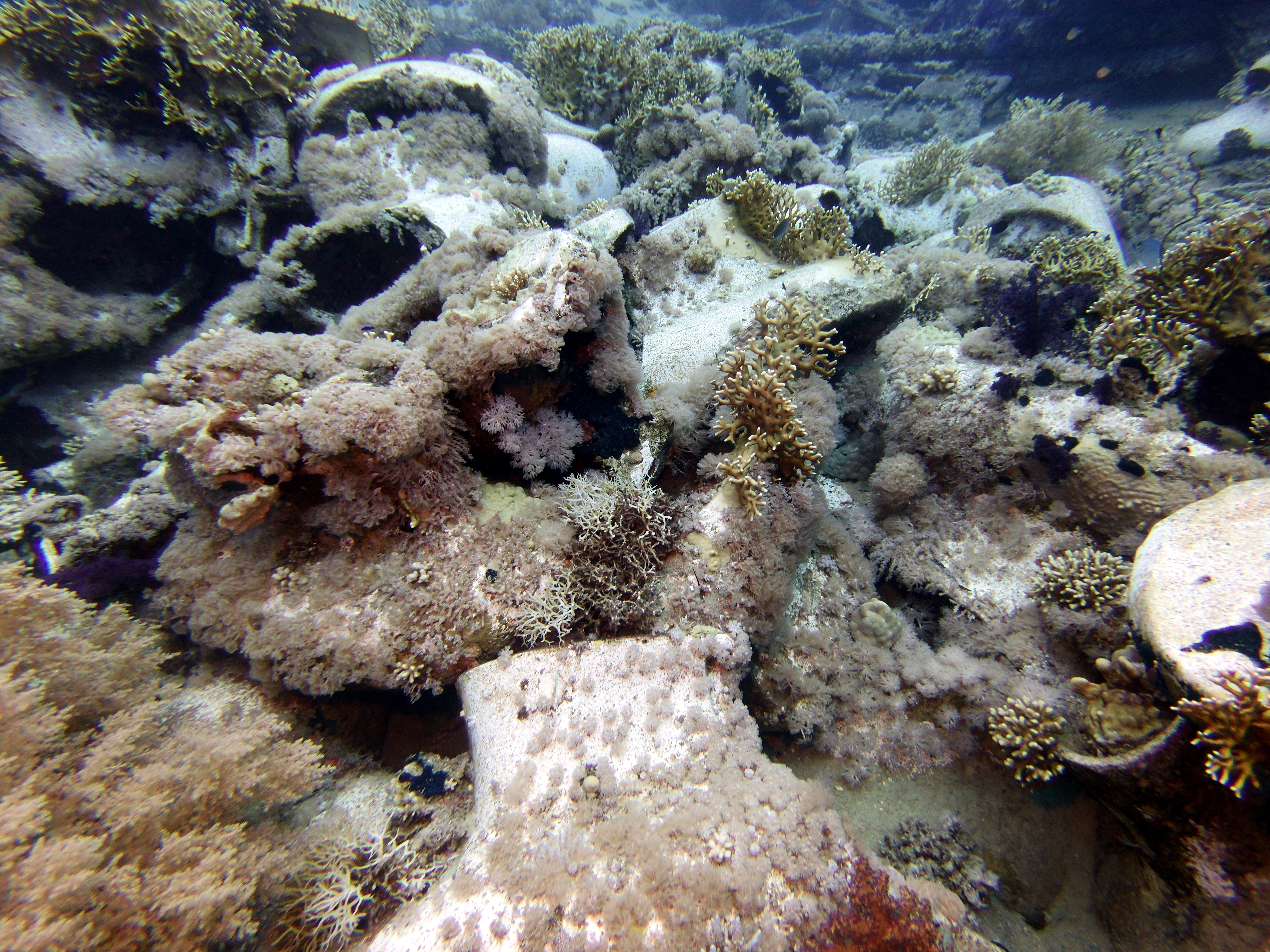 There's plenty of toilets