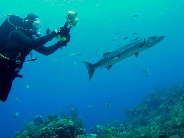 Thermo getting some tail