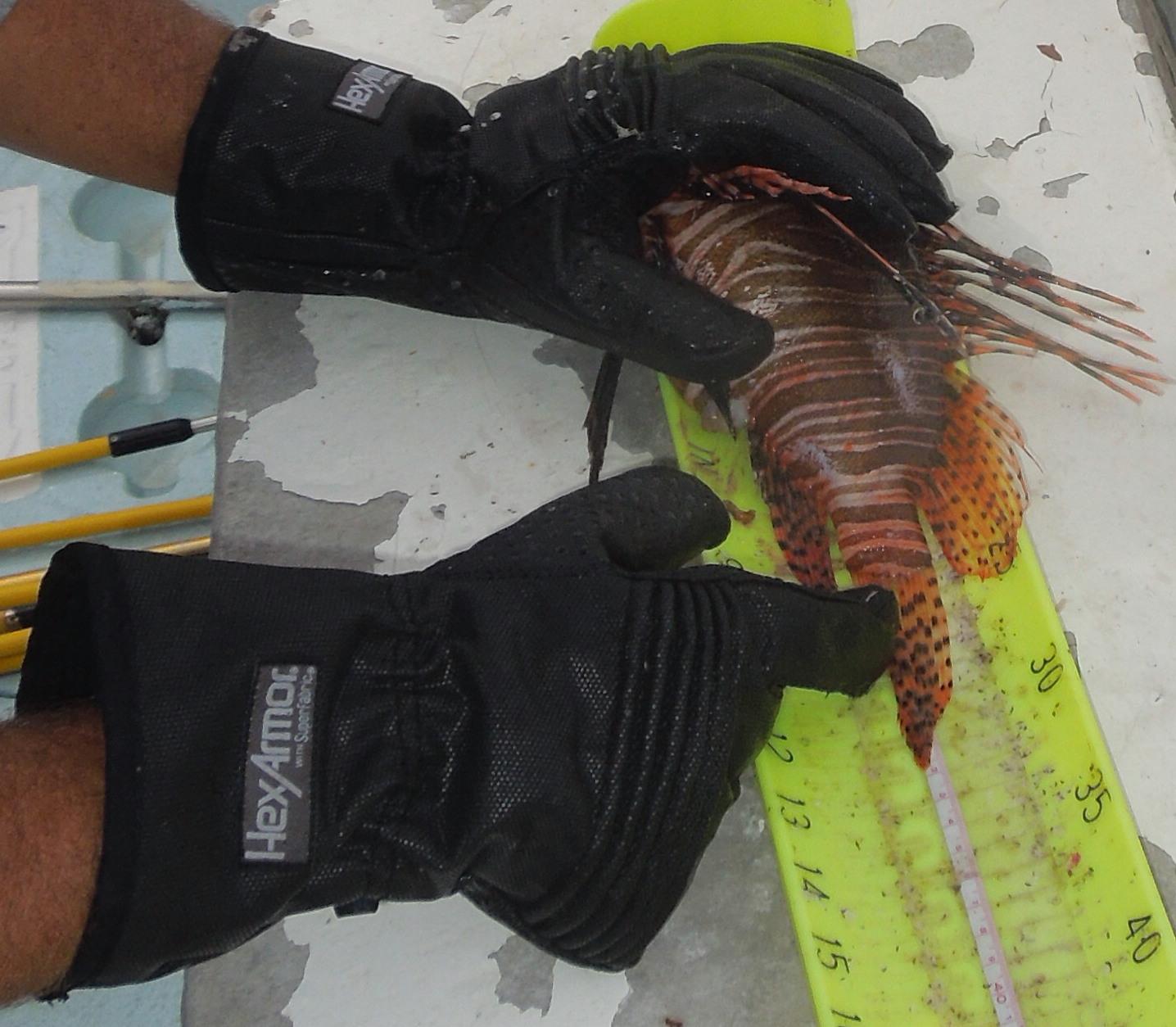 These gloves must be bulletproof