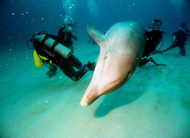 This is at the dive shop...really.