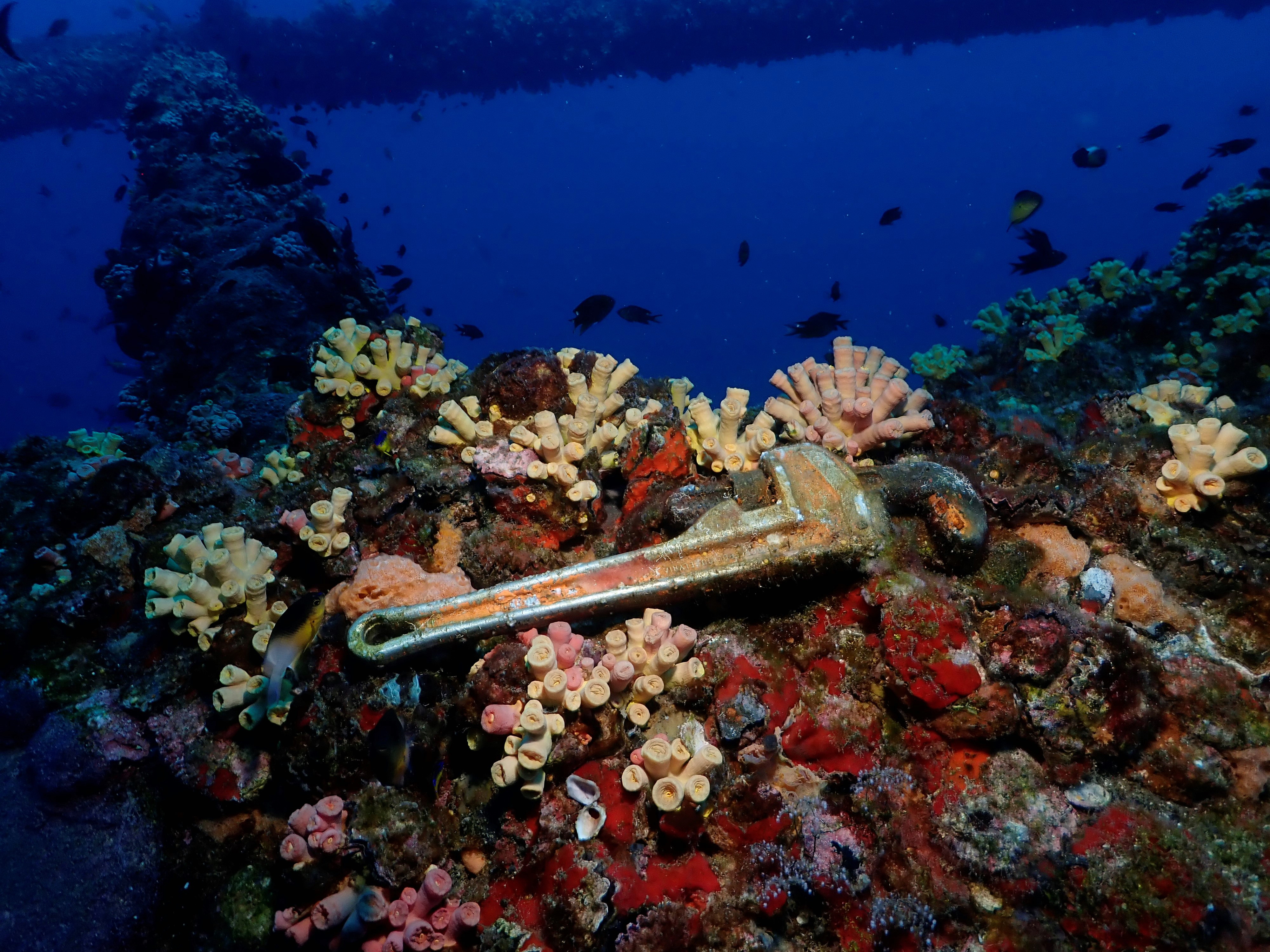 This puts a wrench in things.