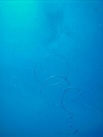 three-ring circus