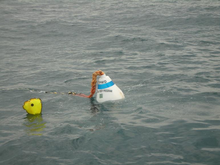 TPWD marker buoy