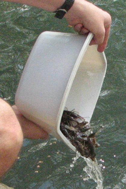 Trashfest 2008