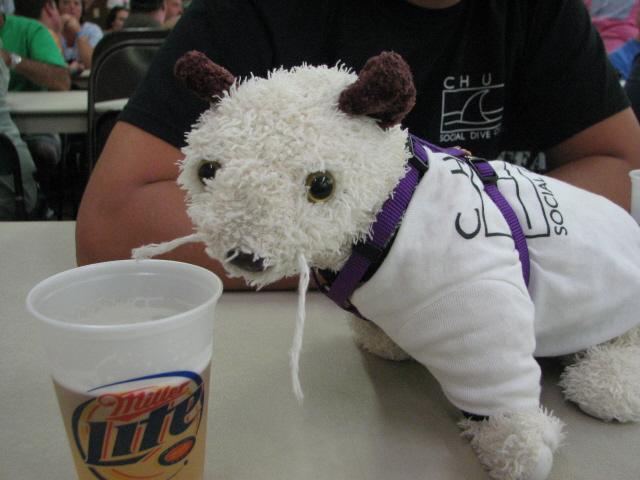 Trashfest 2008