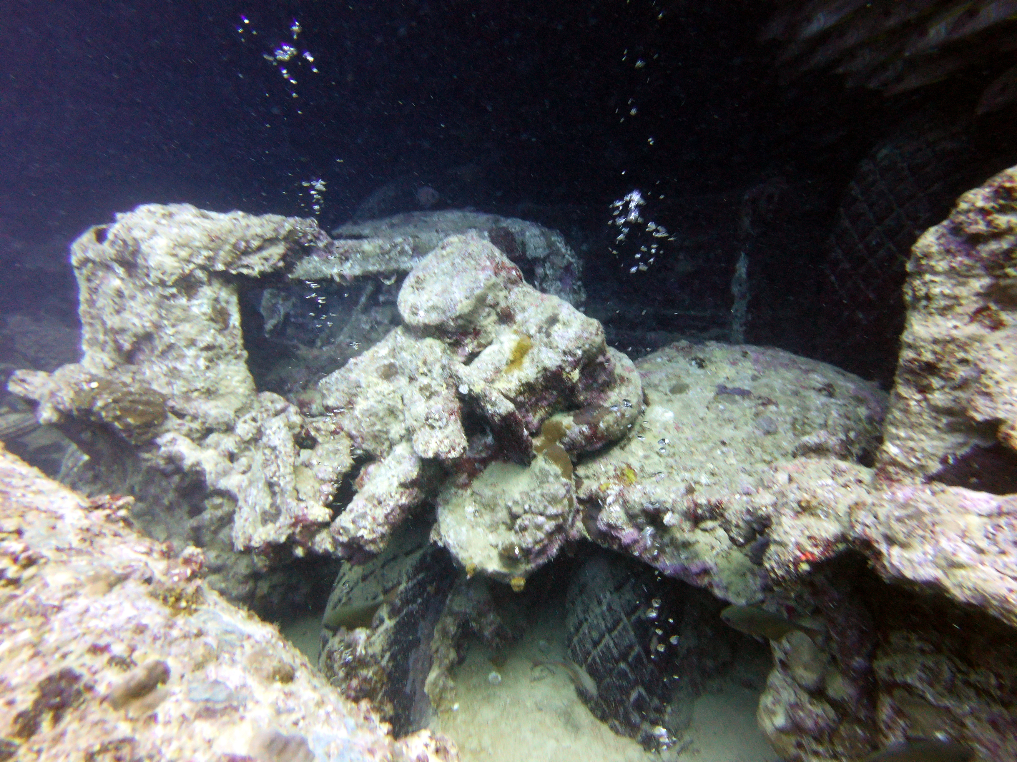 Trucks on the Thistlegorm