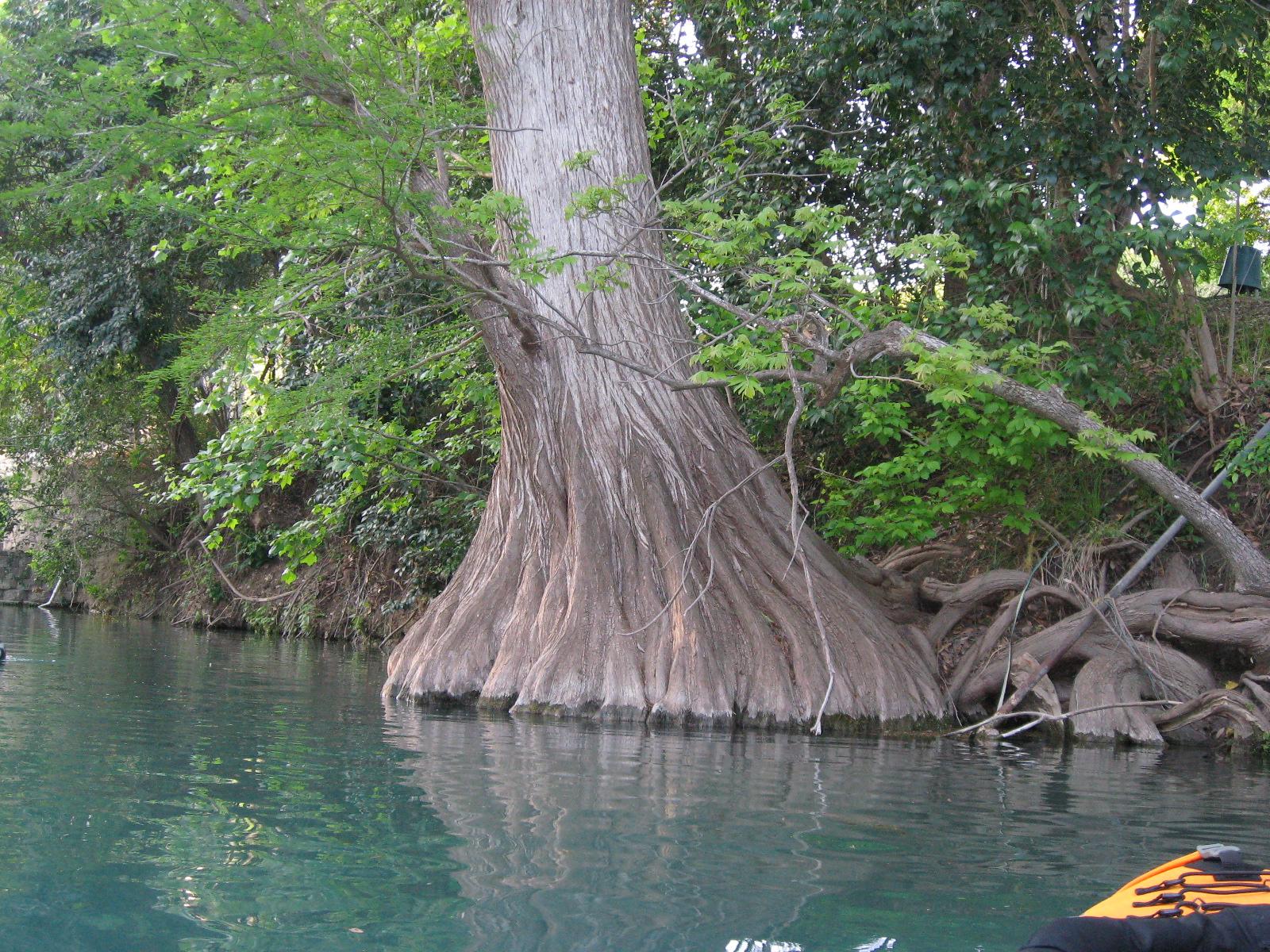 Tubing and kayaking at the Comal