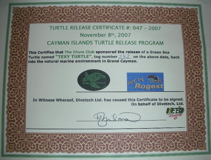 Turt Cert