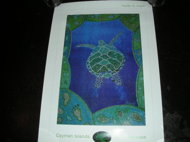 Turtle Pic