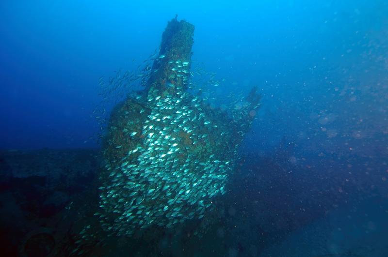 U-352