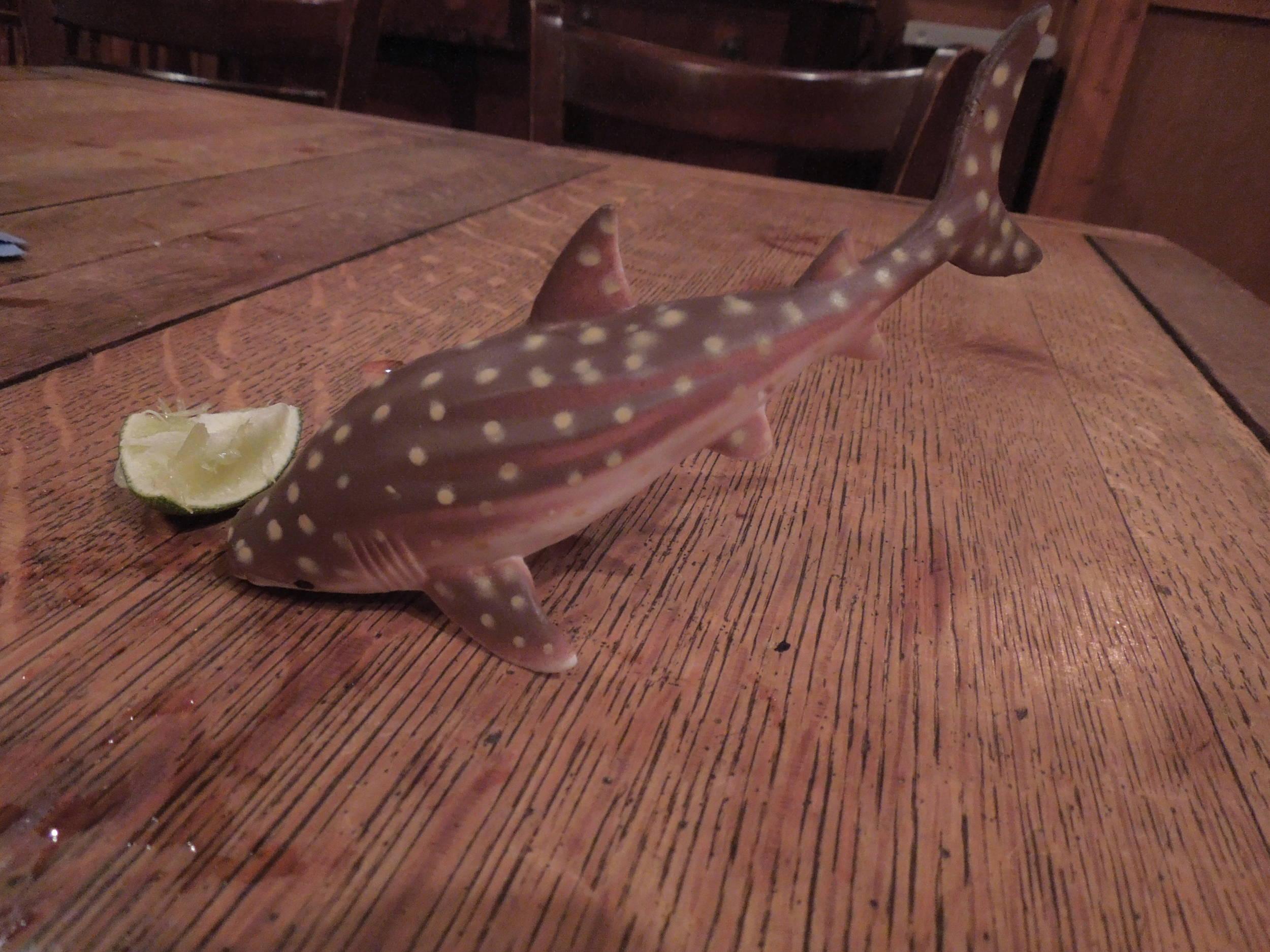 Ugh, I shouldn't have taken that last dive