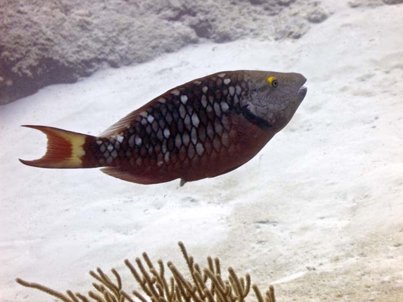 Under age & under influence?