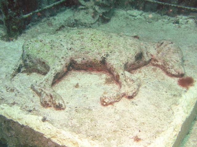 Underwater art gallery
