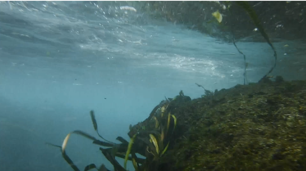 Underwater Waterslide 03 - MAR Comal