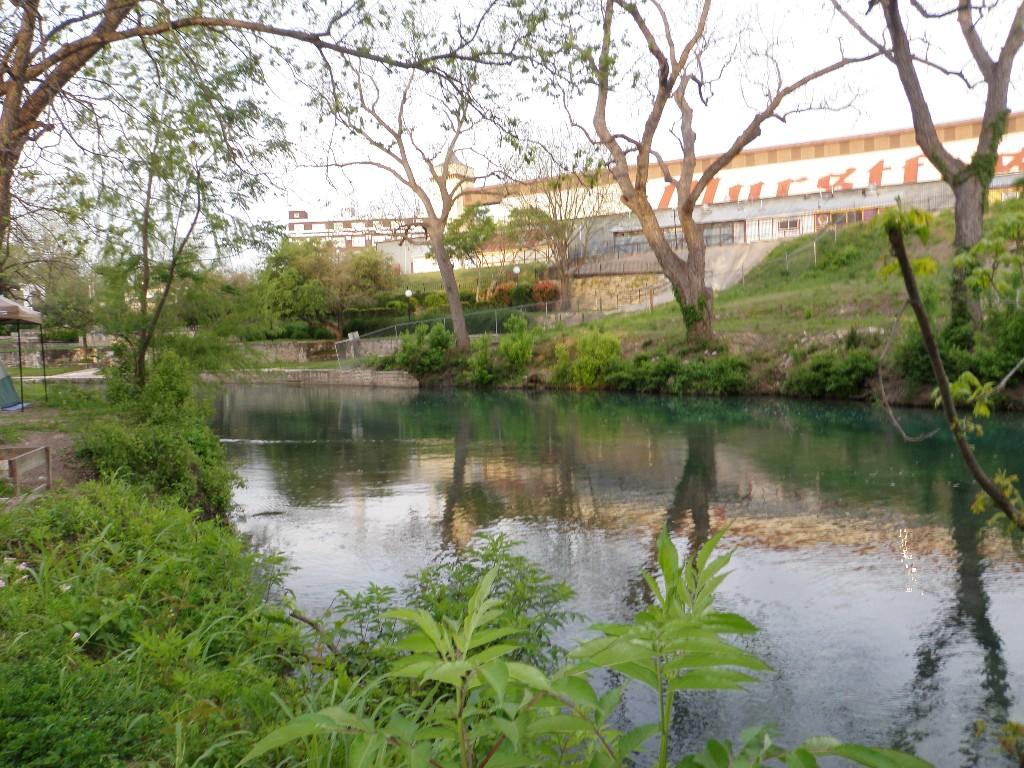 Upriver from basecamp