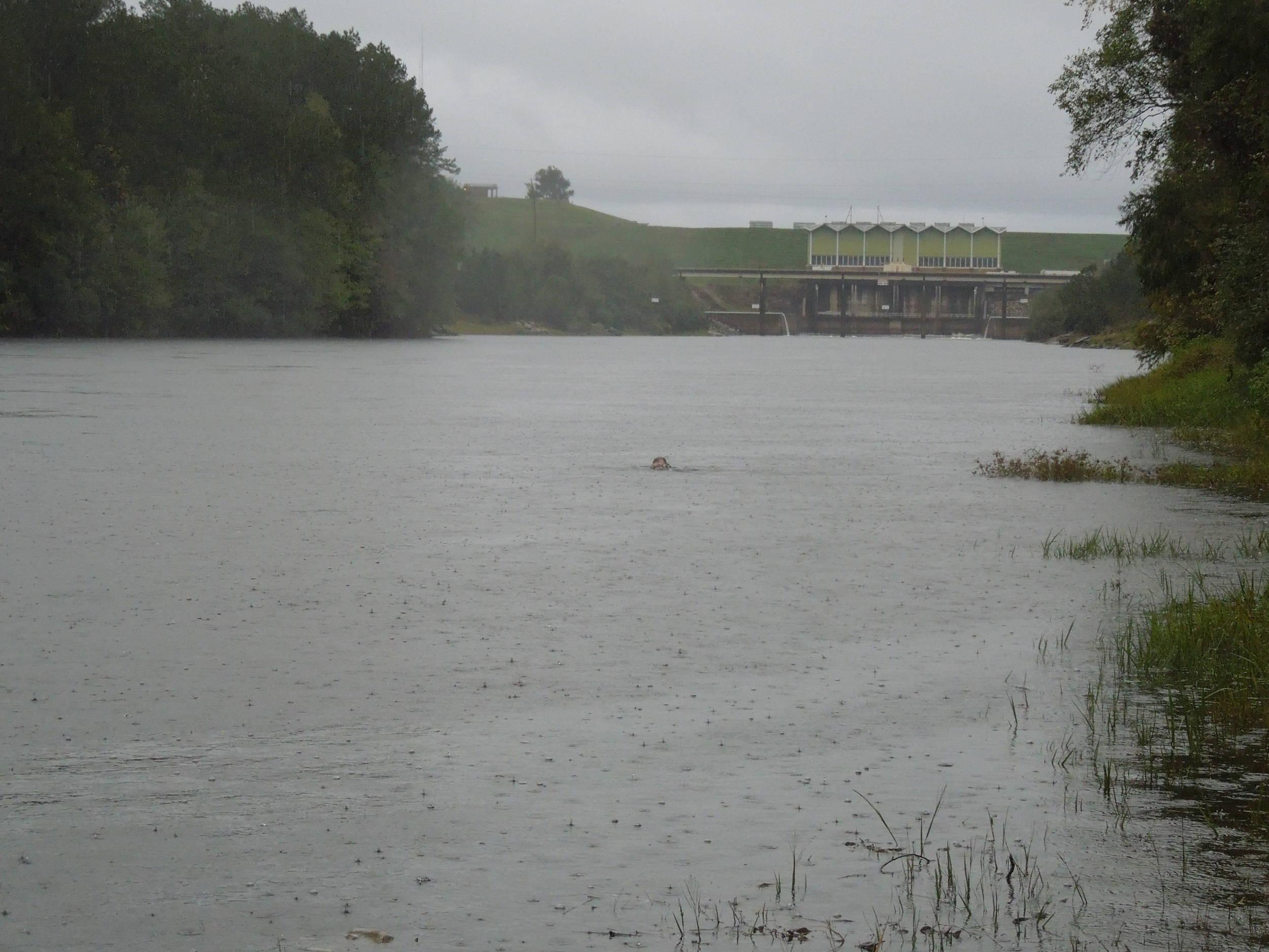upstream