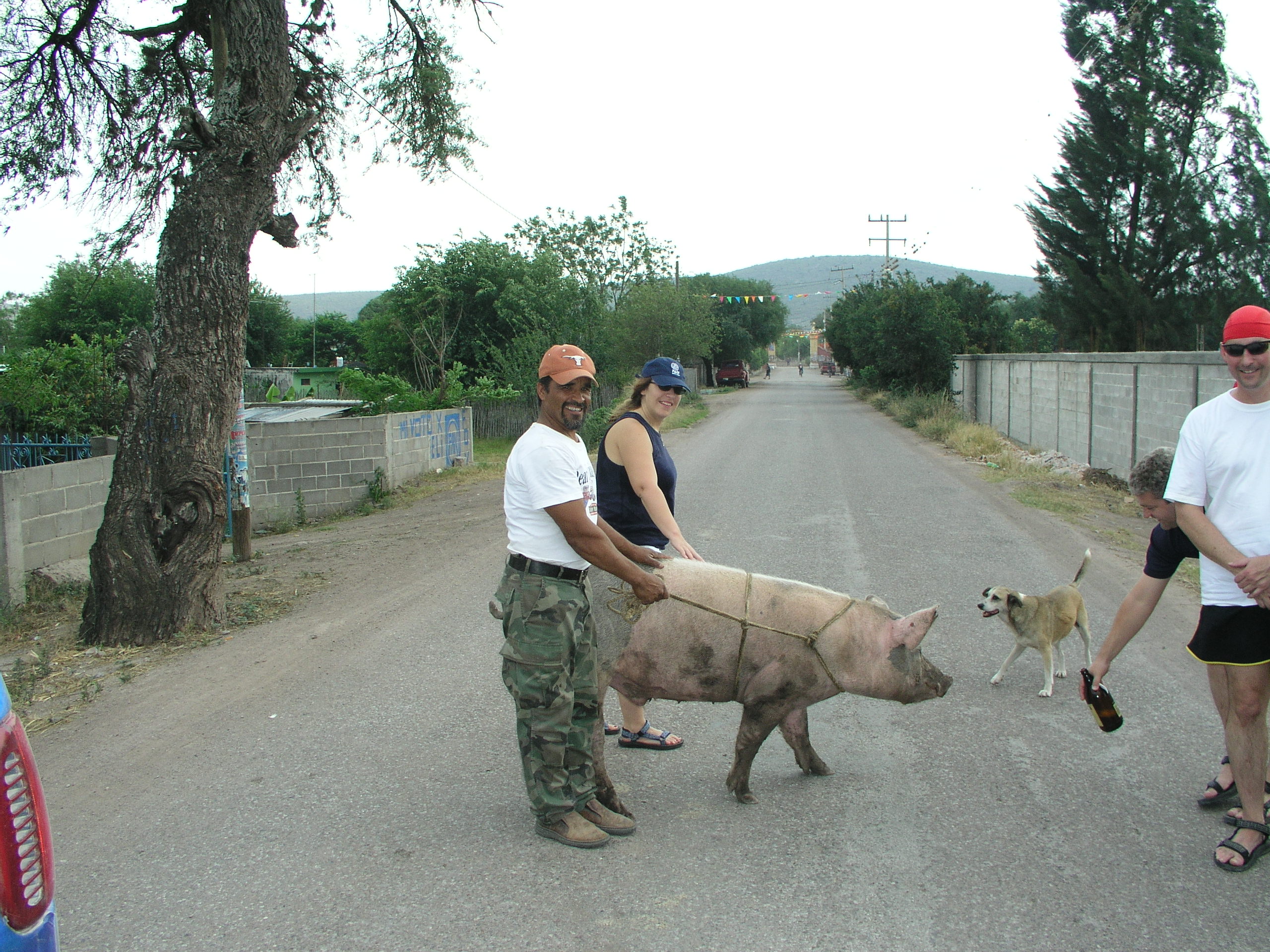UT fan taking his date to dinner