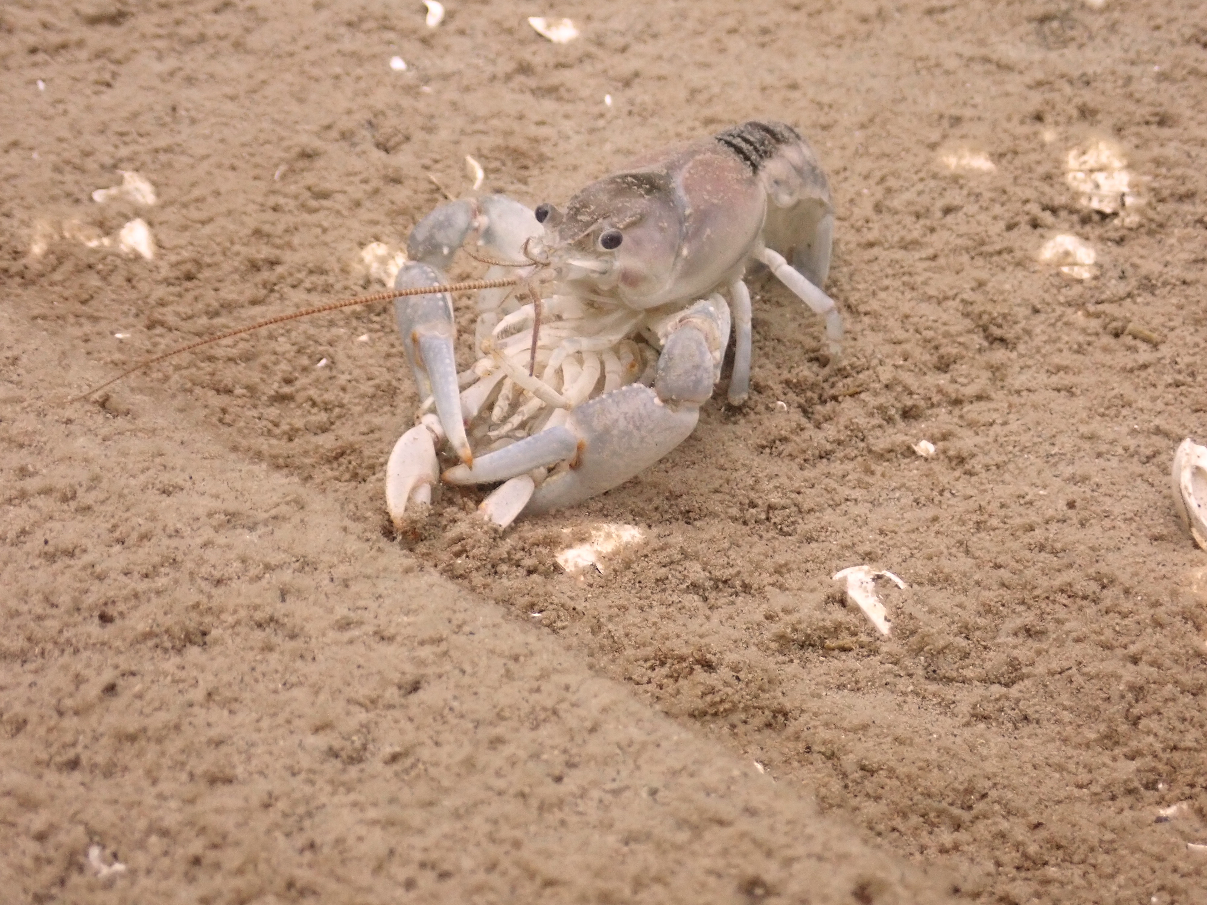 Uuuuh...kinda busy here dude...