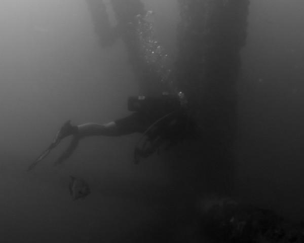 Vanessar using her reef hook