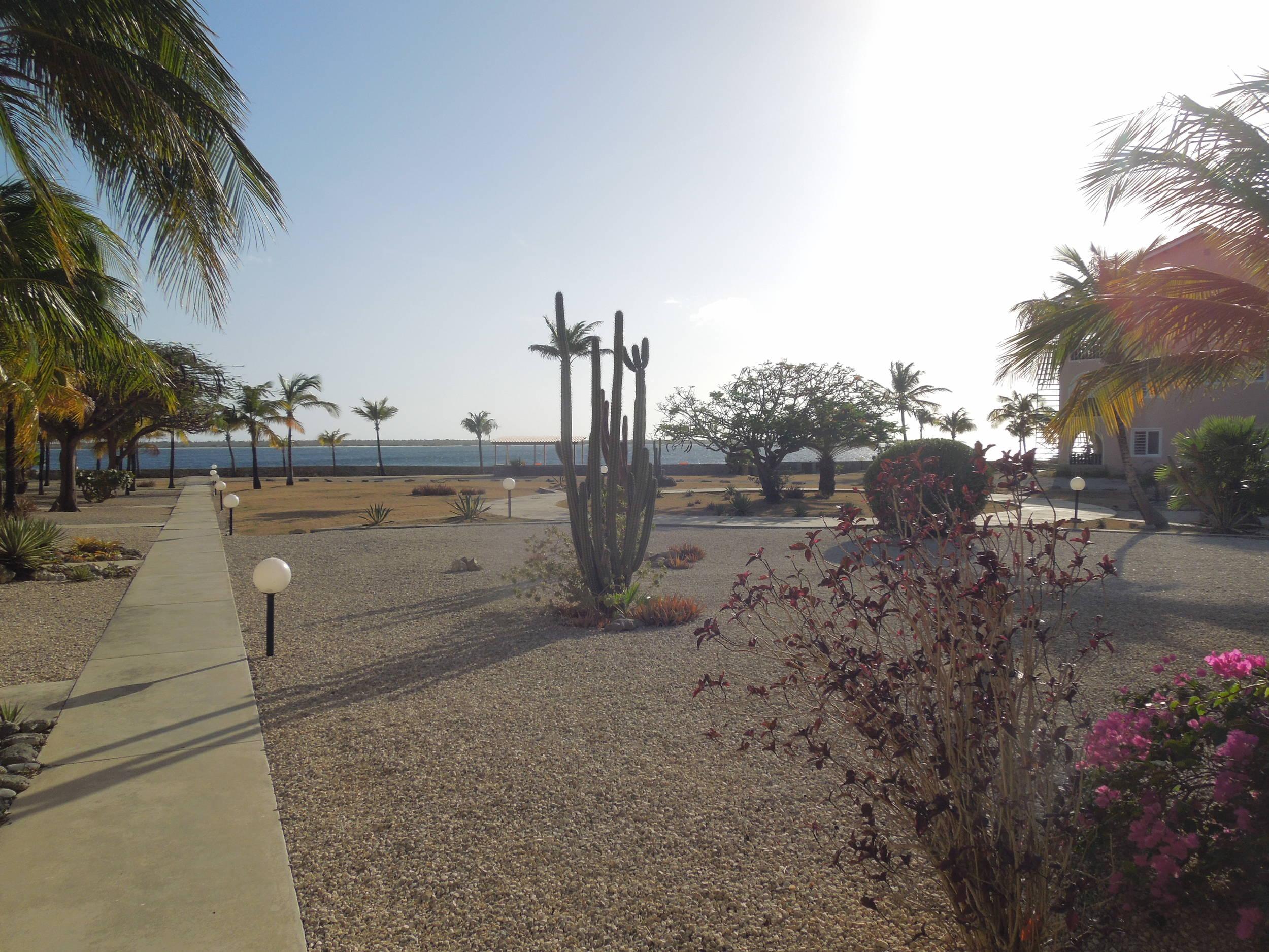 View from the Sand Dollar