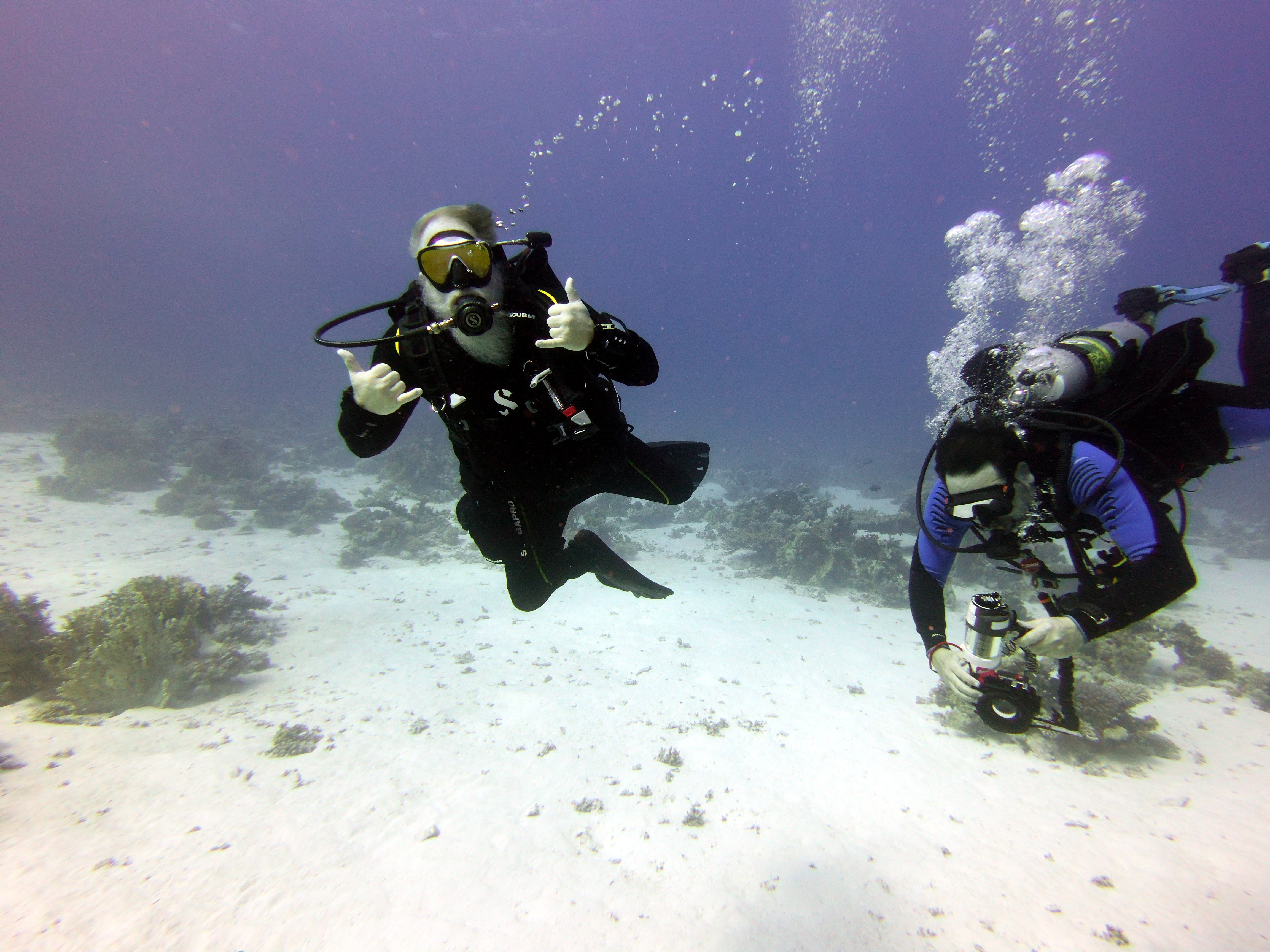 VikingDiver and Sushi Boy at Gordon Reef